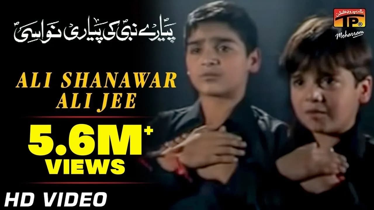 Pyare Nabi Ki Pyari Nawasi, Ali Shanawar & Ali jee 2013 14