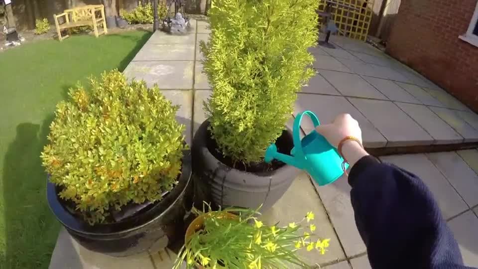 S2E1 Wild and Garden Plants