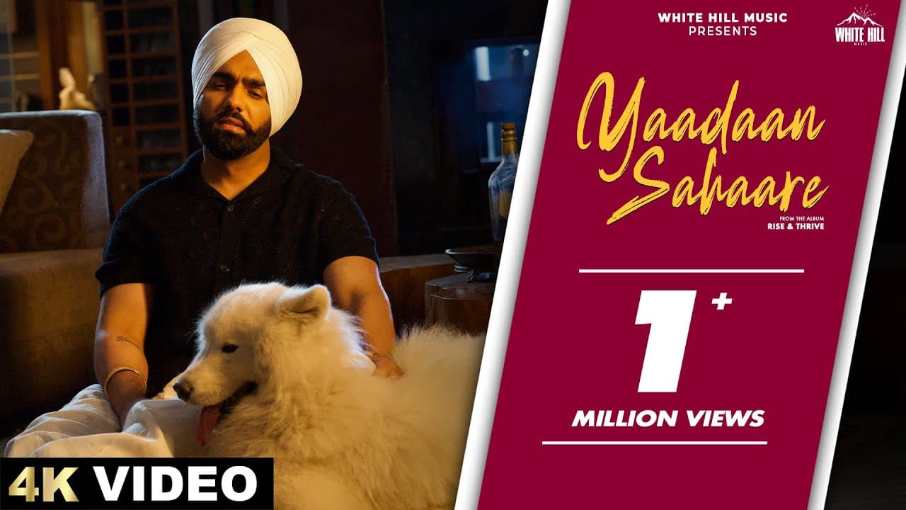 AMMY VIRK: YAADAAN SAHAARE (Official Video) | Drishhty Talwar | Punjabi Song #ammyvirk